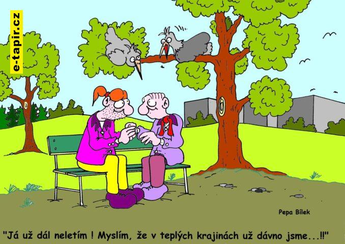 pepa255-Sagax-c222c8d5