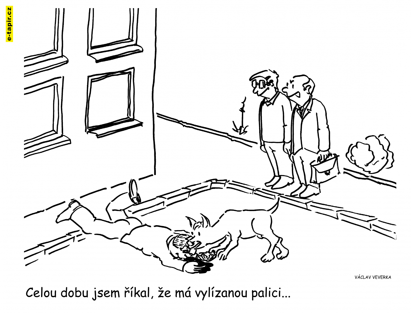 vylízaná palice-b75cfa73