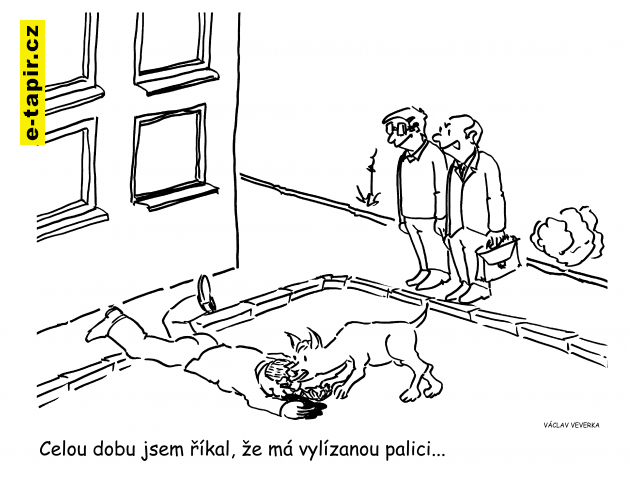 vylízaná palice-b75cfa73