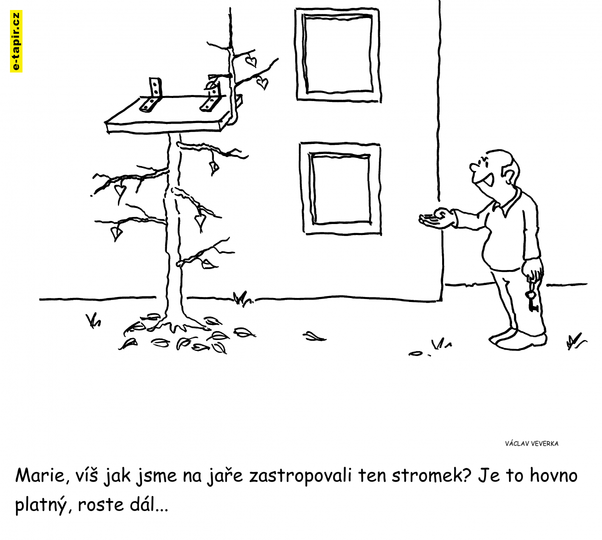 zastropovali-e94c8406