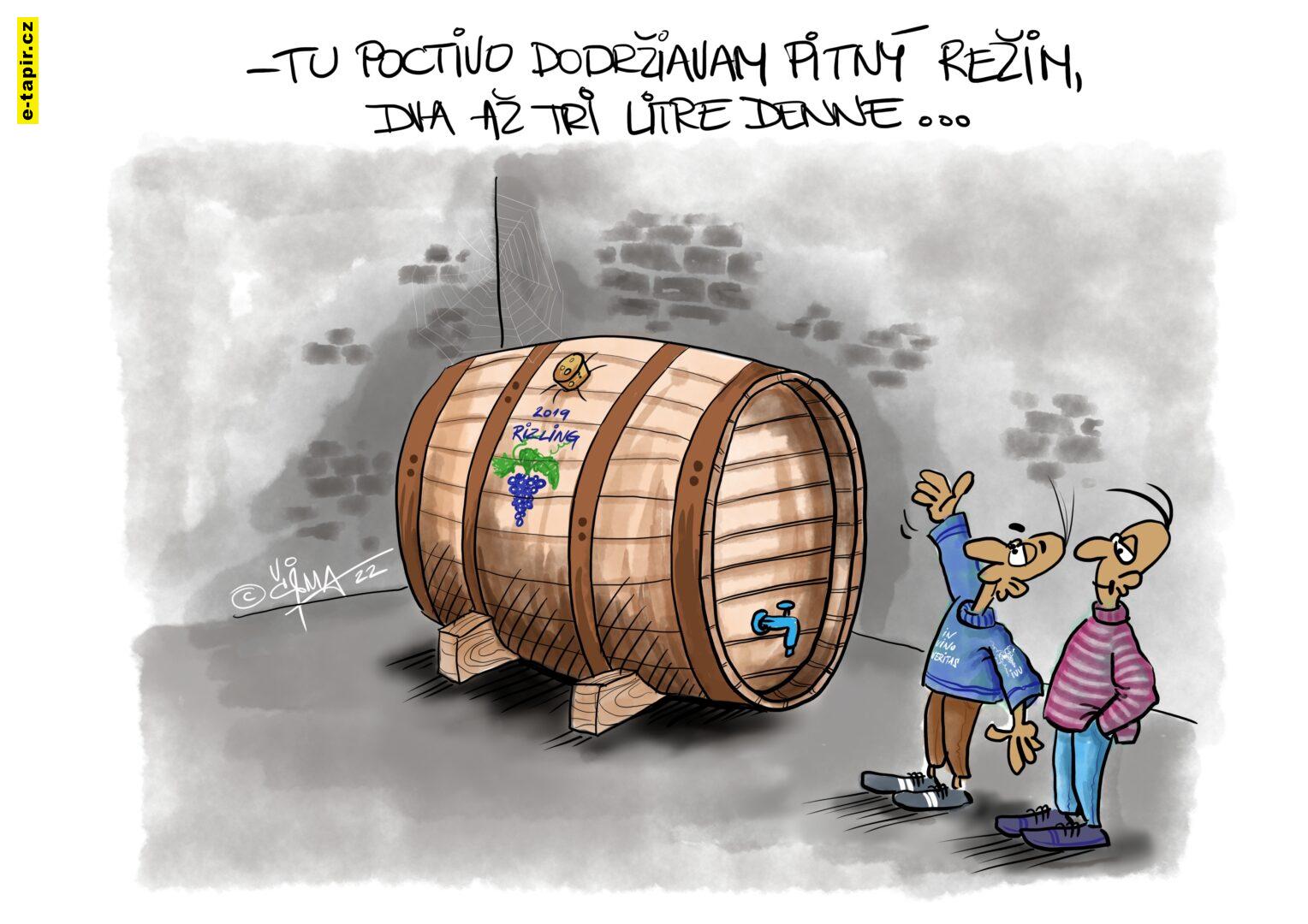 071 _© 2022 cizmar marcel _ VINO-bb2cf3b8