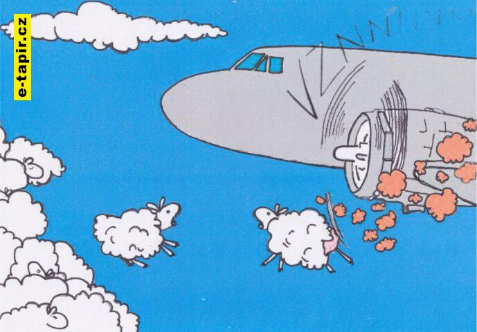 dakota tapír-7fabc24b