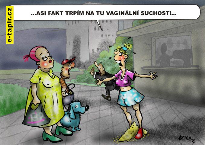 Vaginální sucho kopie