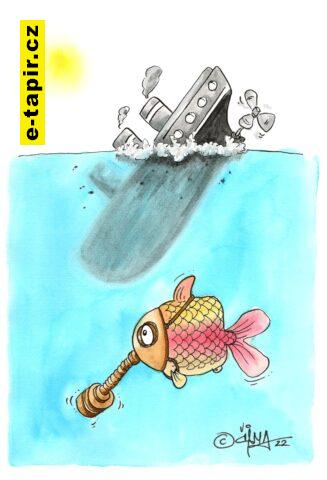 046 _© 2022 cizmar marcel _ premorenie