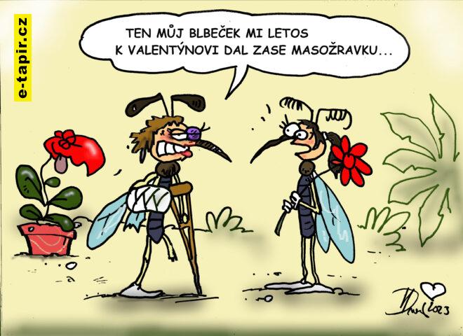 V.Dvorak vtip masozravka