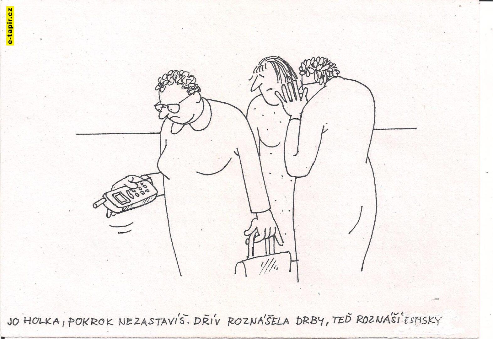 Obrázek (56) - kopie