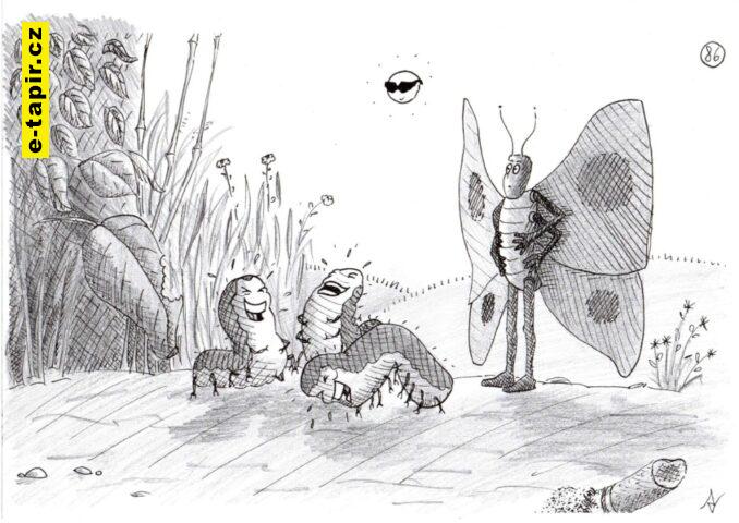 Dospívání housenek