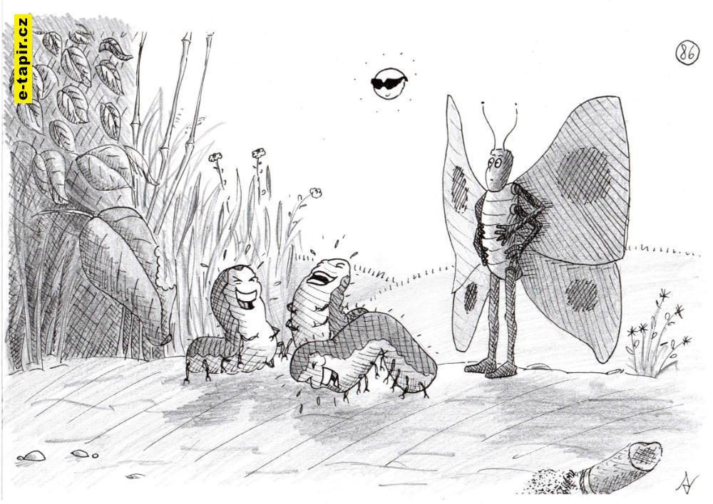 Dospívání housenek