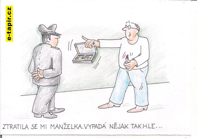 Obrázek (13) - kopie