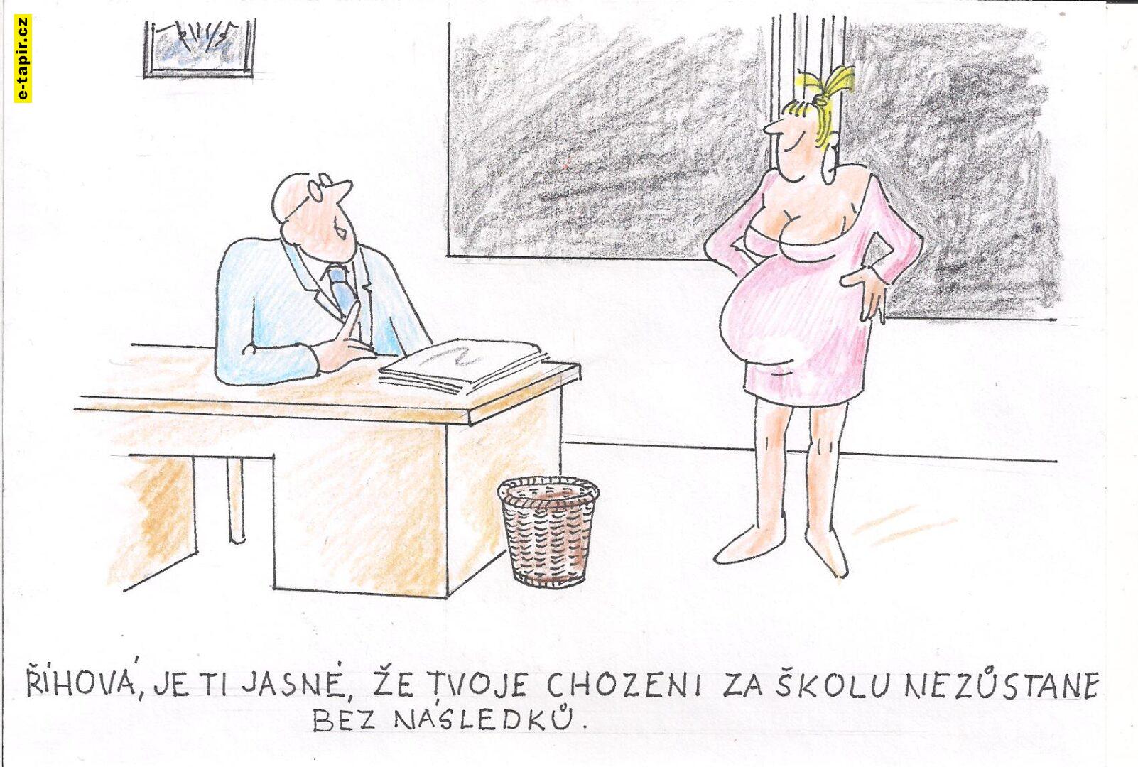 Obrázek (38) - kopie