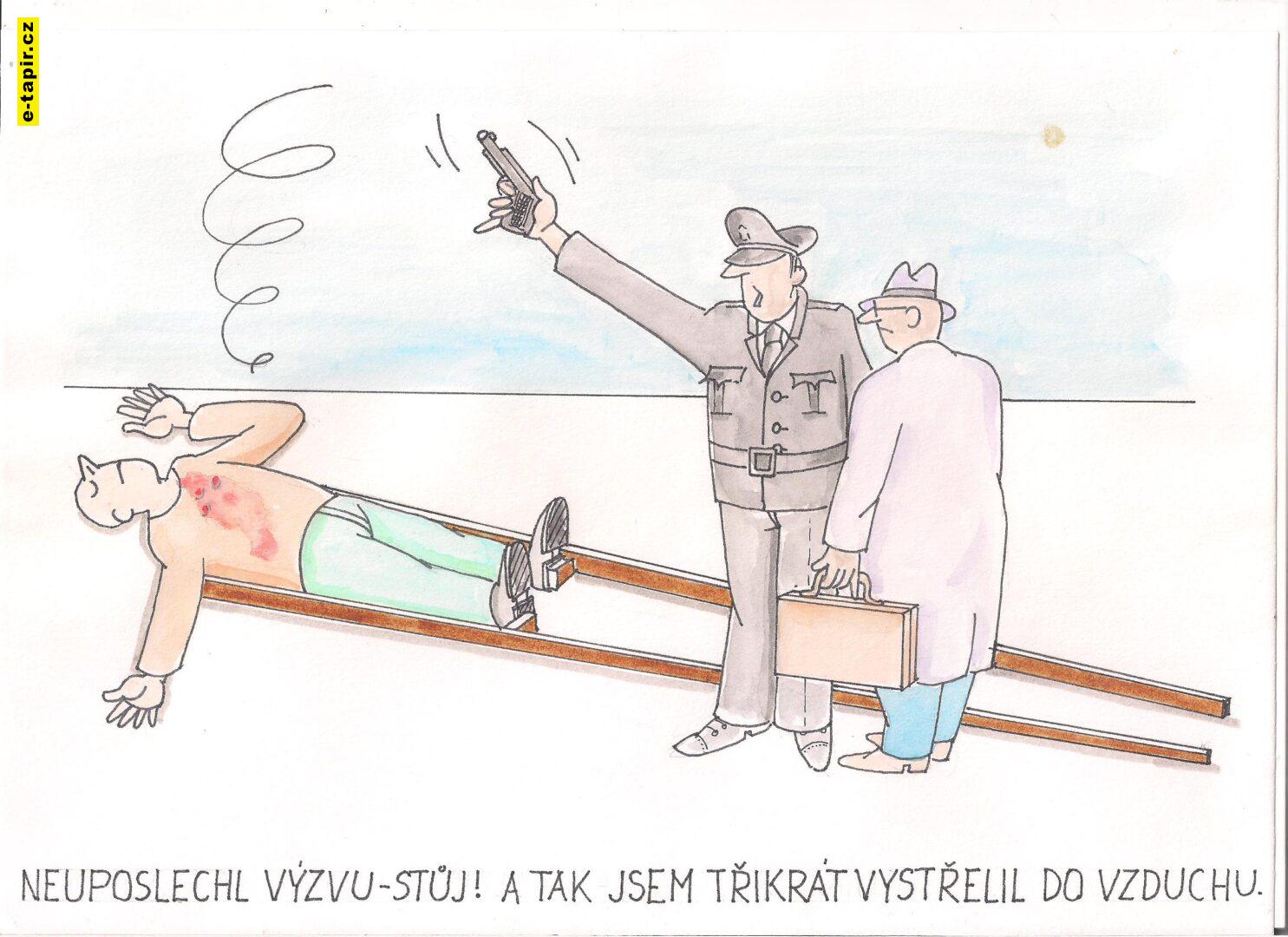 Obrázek (40) - kopie