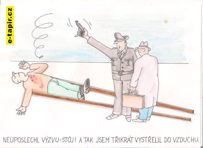 Obrázek (40) - kopie