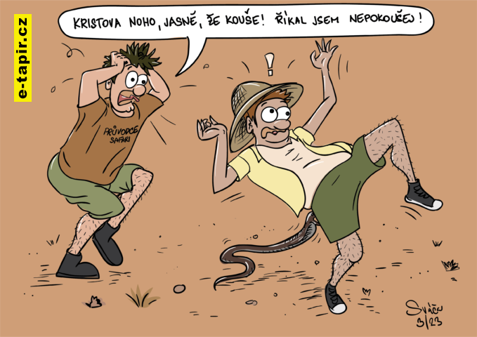 Safari_Svacinova_Petra