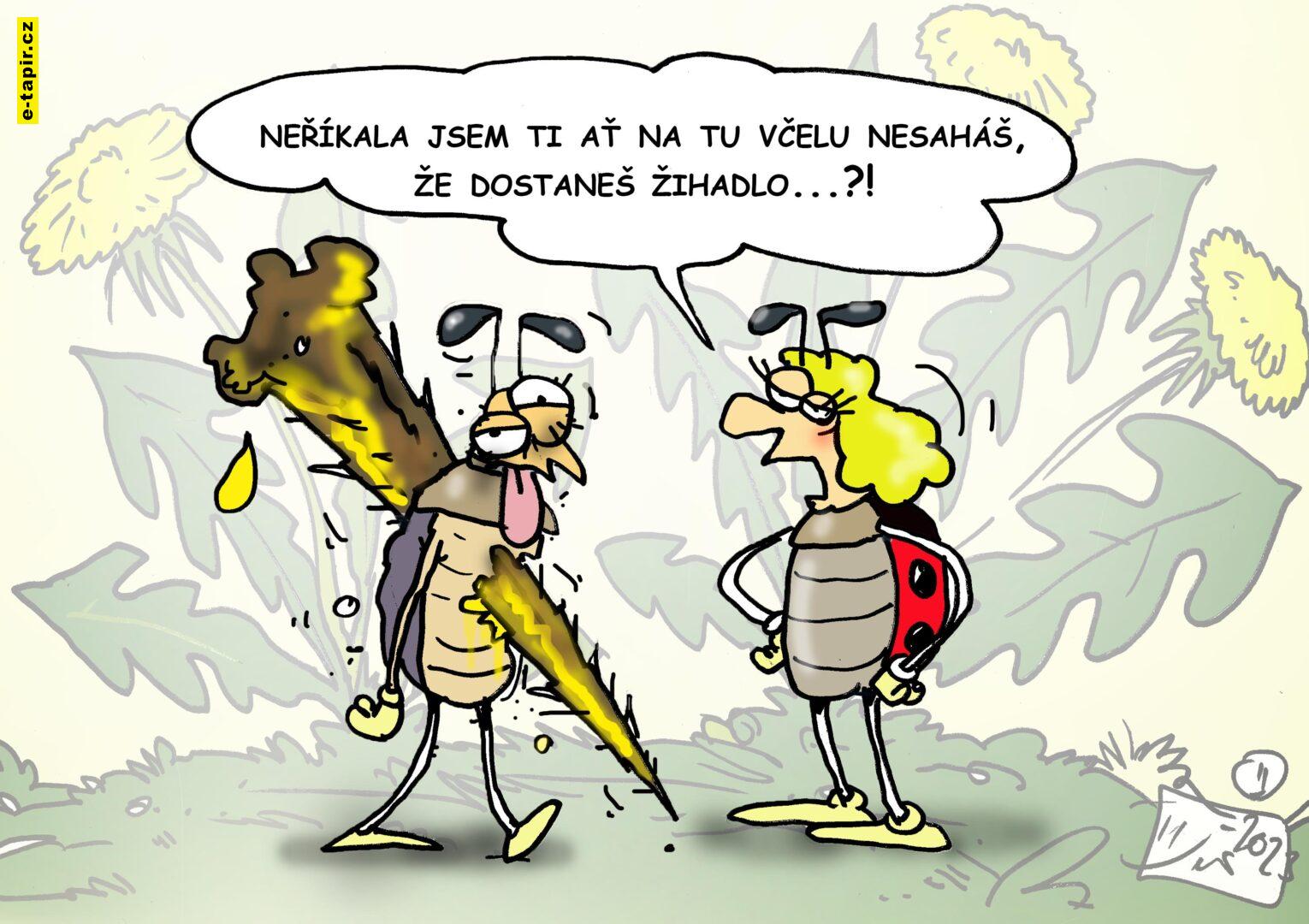 V.Dvorak vtip zihadlo