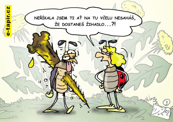 V.Dvorak vtip zihadlo