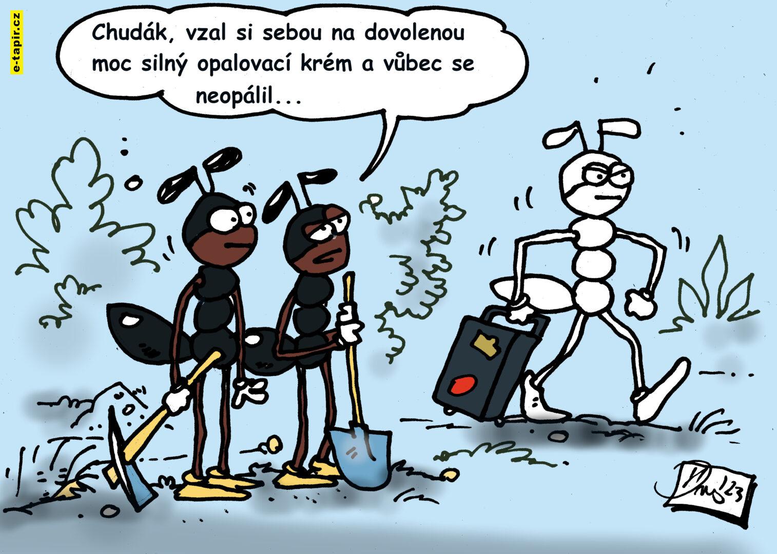 V.Dvorak vtip opalovaci krém