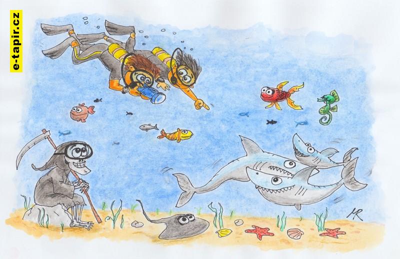 Potapaci_a_zraloky_l