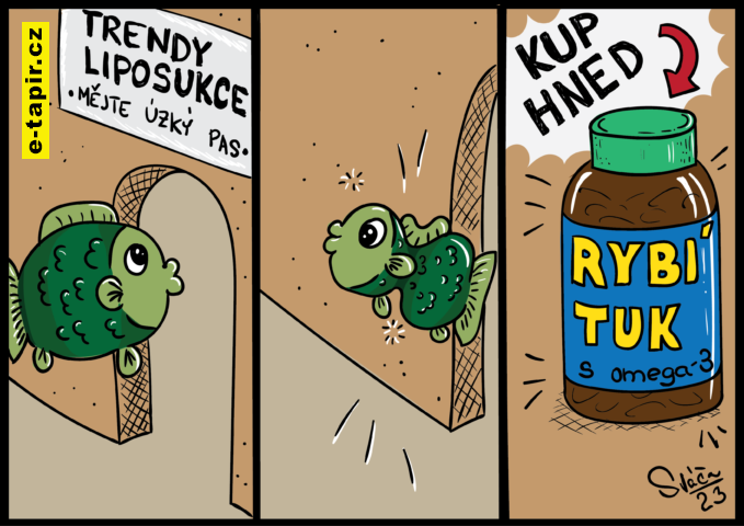 Svacinova_Petra_CR_02