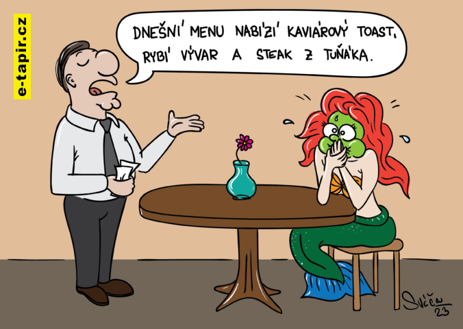 Svacinova_Petra_CR_03