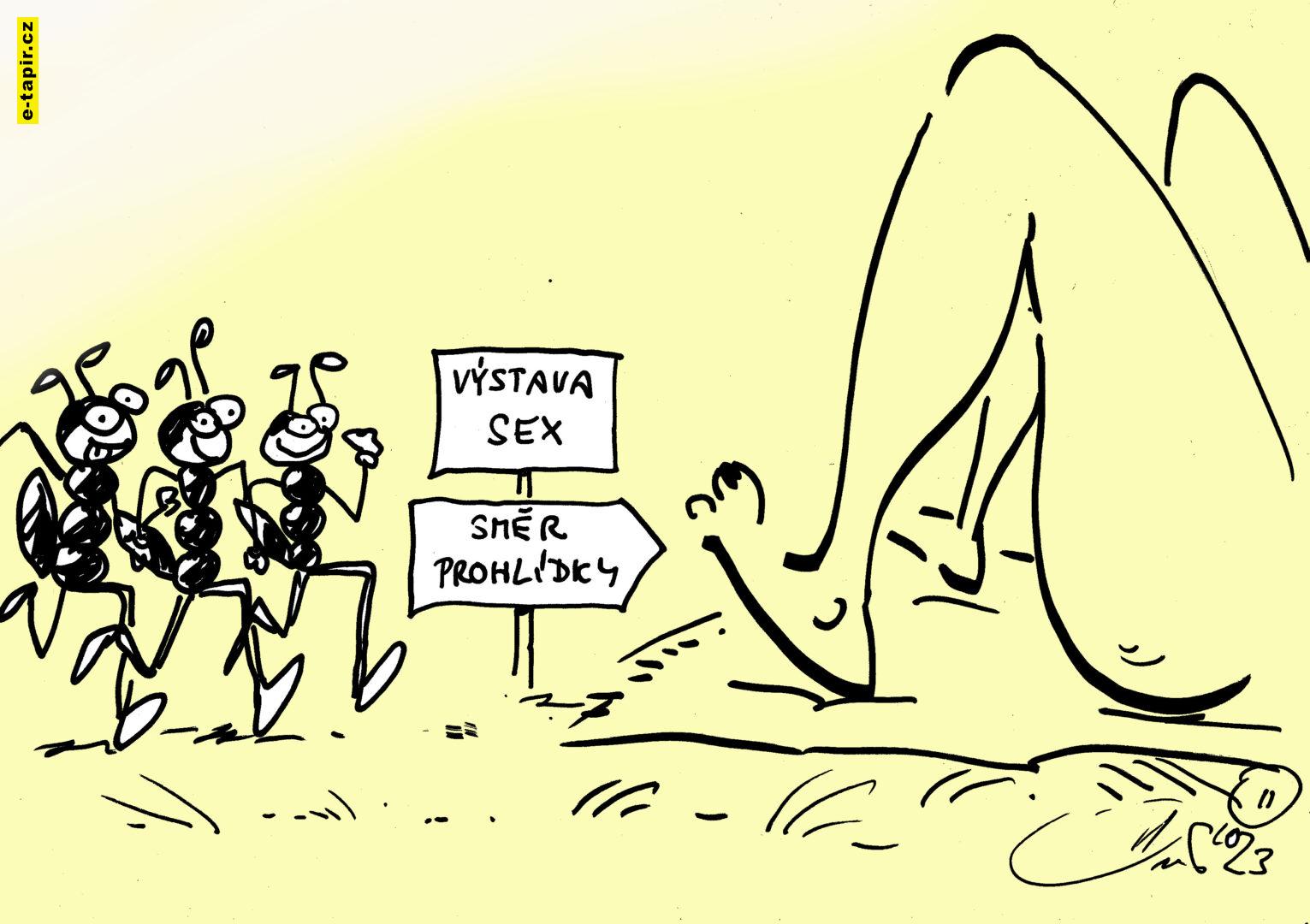 V.Dvorak vtip vystava sex