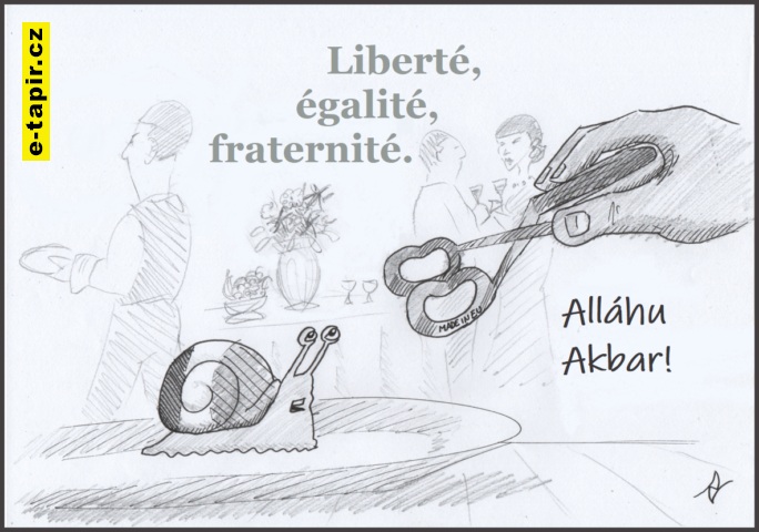 Volnost, rovnost, bratrství.