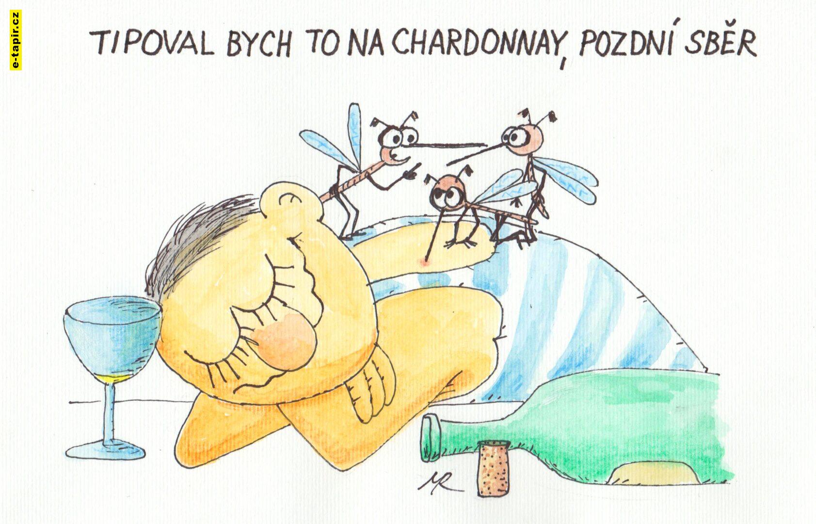 Milos_Randak_Somelier