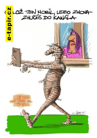 060 _© 2022 cizmar marcel _  mumia