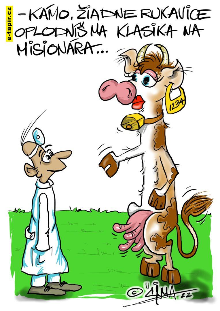 066 _© 2022 cizmar marcel _ krava