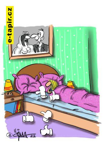 074 _© 2022 cizmar marcel _ smajlik