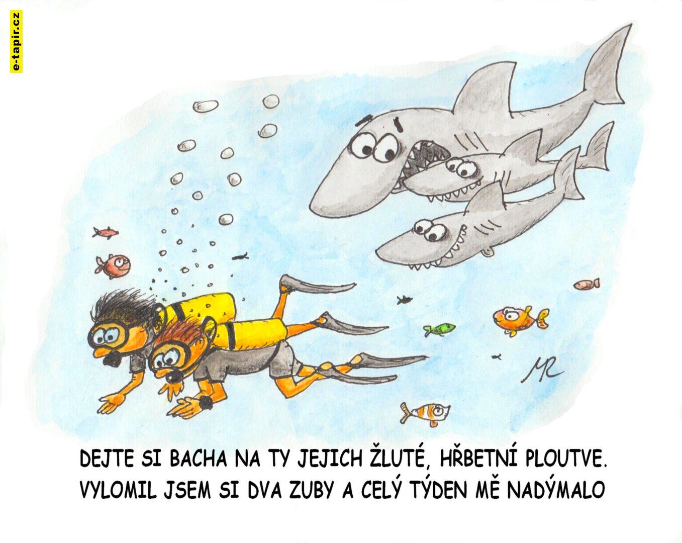 Milos_Randak_Zraloci