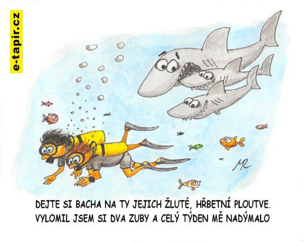 Milos_Randak_Zraloci